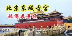 操逼白虎视频中国北京-东城古宫旅游风景区